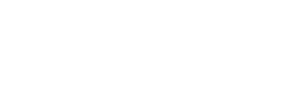brandmr-logo